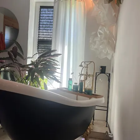 Loft Zen Essentiel Bonsin